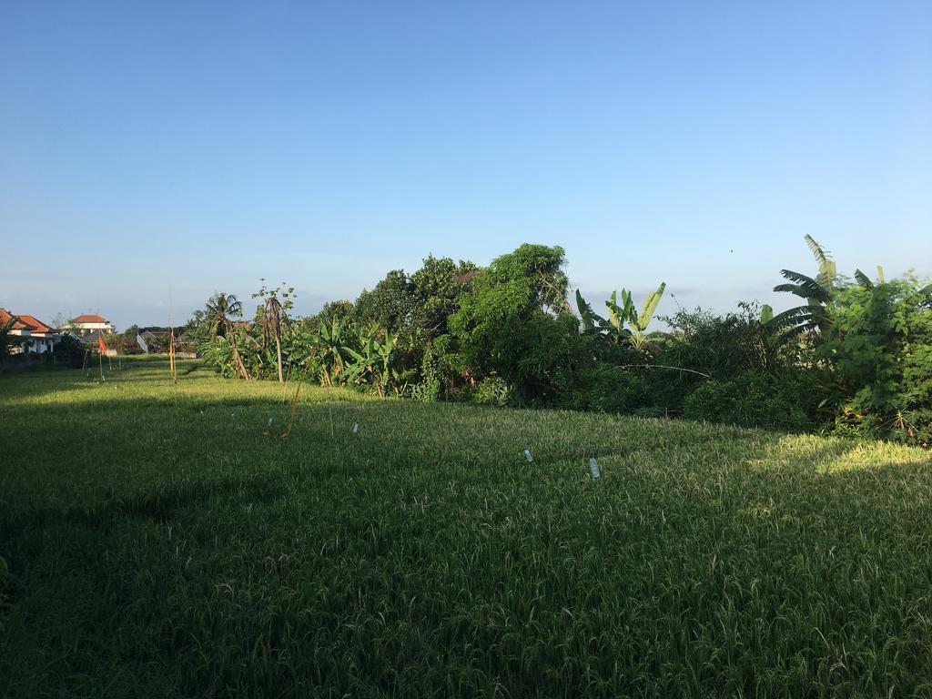 Gangga Guest House Canggu  Luaran gambar